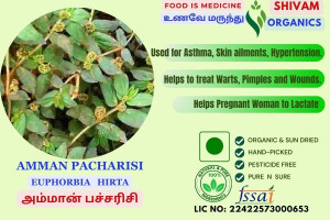 Amman Pacharisi | Euphorbia Hirta |Snake Weed| DRY PLANT | 100gm