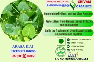 Arasa Ilai | Ficus Religiosa | Peepal Leaf | DRY LEAF | 100gm