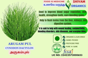 Arugampul | Cynodon Dactylon | Bermuda Grass | DRY GRASS | 100gm