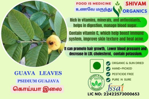 Koiya Illai | Psidium Guajava | Guava or Amrood Leaf | DRY LEAF | 100gm