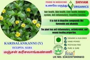 Karisalankanni Yellow | Eclipta Alba | False Daisy  | DRY LEAF | 100gm
