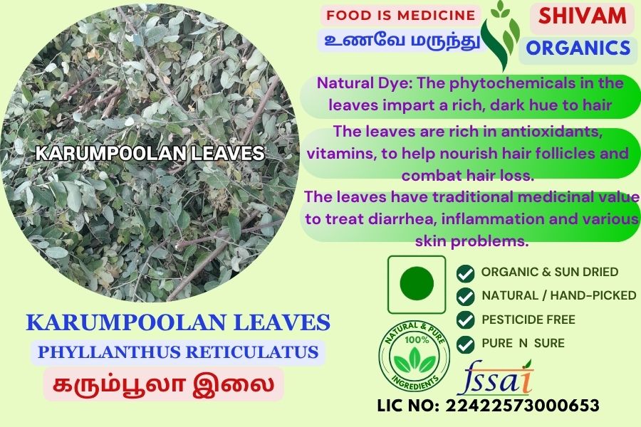 Karumboola | Phyllanthus Reticulatus | Potato Push | DRY LEAVES | 100gm Karumboola | Phyllanthus Reticulatus | Potato Push | DRY LEAVES | 100gm