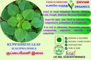 Kuppaimeni | Aclaypha Indica| Indian Nettle | DRY PLANT | 100gm