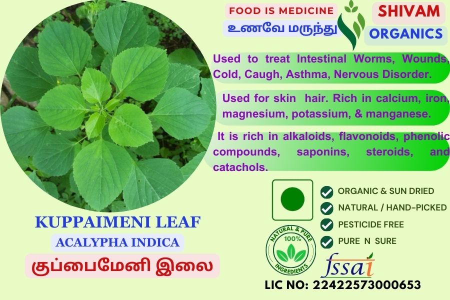 Kuppaimeni | Aclaypha Indica| Indian Nettle | DRY PLANT | 100gm