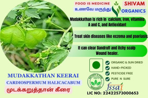 Mudakkathan | DRY PLANT | Cardiospermum Halicacabum | 100gm