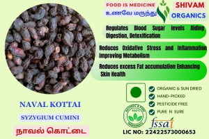 Naval Kottai | Syzygium Cumini | Jambolan | DRY SEED | 100gm