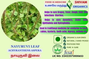 Nayuruvi Leaf | Achyranthes Aspera  |Indian Nettle | DRY LEAF | 100gm