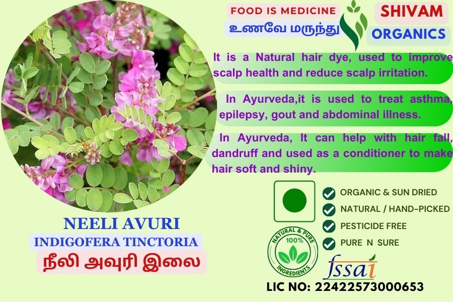 Neeli Avuri | Indigofera Tinctoria| Indian Indigo | DRY PLANT | 100gm