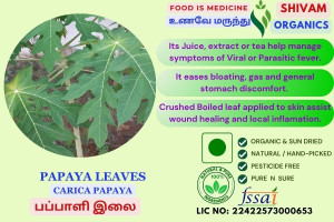 Papaya Leaf | Carica Papaya | Tree Melon | DRY LEAVES | 100gm