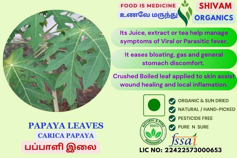 Papaya Leaf | Carica Papaya | Tree Melon | DRY LEAVES | 100gm