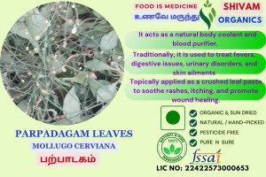 Parpadagam | Mollugo Cerviana | Threadstem Carpetweed | DRY PLANT | 100gm