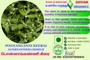 Ponnanganni Keerai | Alternanthera Sessilis | DRY PLANT | 100gm