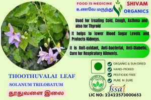 Thoothuvalai | Solanum Trilobatum |Climbing Brinjal | DRY LEAF | 100gm