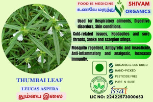 Thumbai Ilai | Leucas Aspera  |Leucas Thumba | DRY LEAF | 100gm