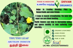 Thuthi Ilai | Abutilon Indicum  |Indian Mallow | DRY LEAF | 100gm