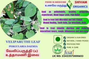 Veliparuthi | Pergularia Daemia | Trellis Vine | DRY PLANT | 100gm