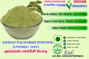 Amman Pacharisi Powder | Euphorbia Hirta | Snake Weed 100gm
