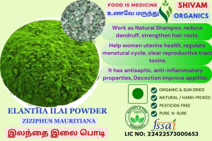 Elantha Ilai | Ziziphus Mauritiana | Jujube Leaf | DRY POWDER | 100gm Elantha Ilai | Ziziphus Mauritiana | Jujube Leaf | DRY POWDER | 100gm