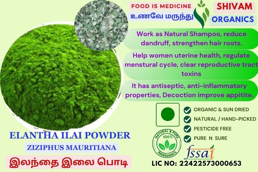Elantha Ilai | Ziziphus Mauritiana | Jujube Leaf | DRY POWDER | 100gm