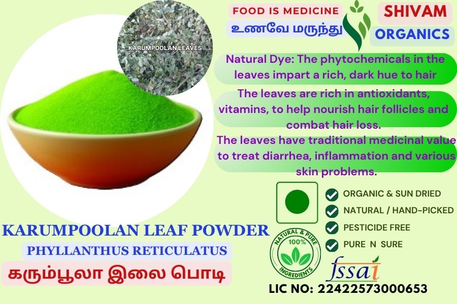Karumboola | Phyllanthus Reticulatus | Potato Push | DRY LEAF POWDER | 100gm Karumboola | Phyllanthus Reticulatus | Potato Push | DRY LEAF POWDER | 100gm