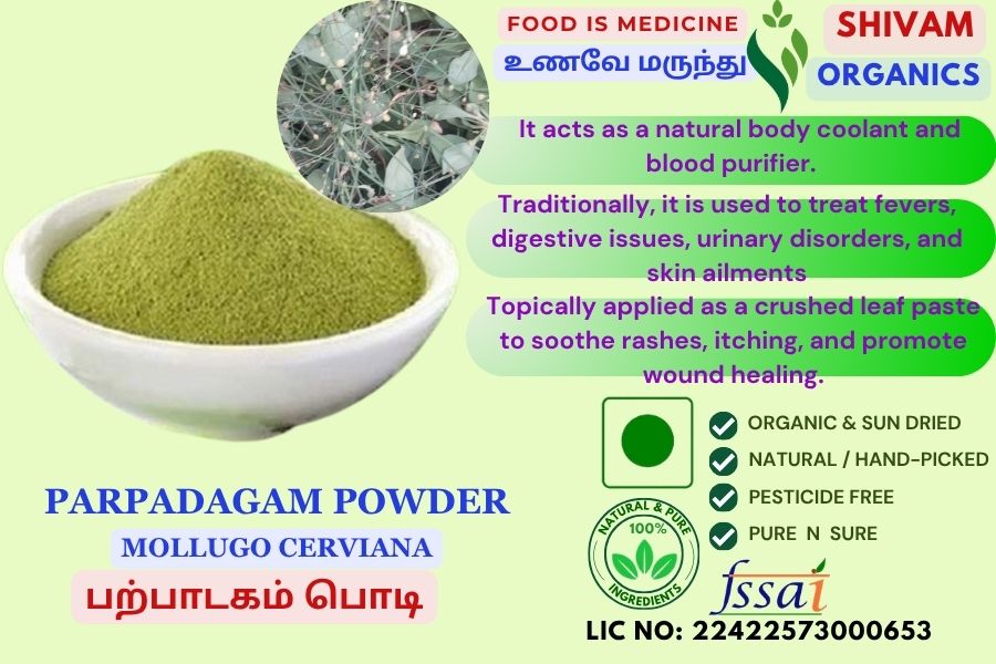 Parpadagam | Mollugo Cerviana | Threadstem Carpetweed | DRY POWDER | 100gm Parpadagam | Mollugo Cerviana | Threadstem Carpetweed | DRY POWDER | 100gm