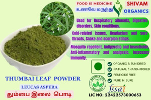 Thumbai Ilai Powder | Leucas Aspera  |Leucas Thumba 100gm