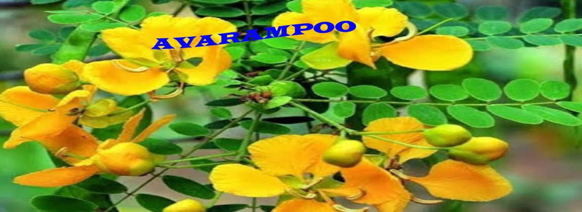 AVARAMPOO